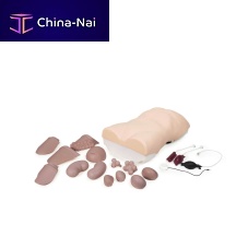 Auscultation simulation trainer ALT60000palpationfor clinical carefor abdominal surgery