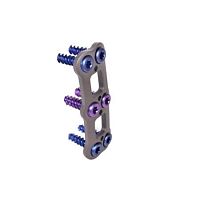Cervical arthrodesis plate Whirlock 2 levels