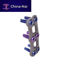 Cervical arthrodesis plate Whirlock 2 levels