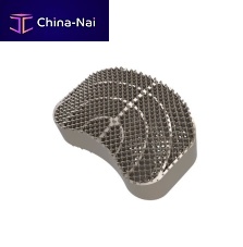 Lumbar interbody fusion cage Alicudi ALIFanteriortitanium