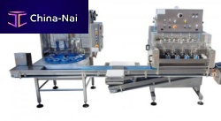Kiwi peeling machine PL2AV - PL4AV