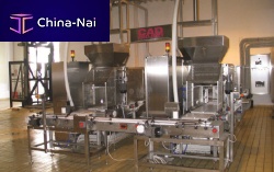 Brushing machine LASP